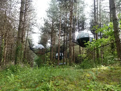 Les Nids du Béarn (64)