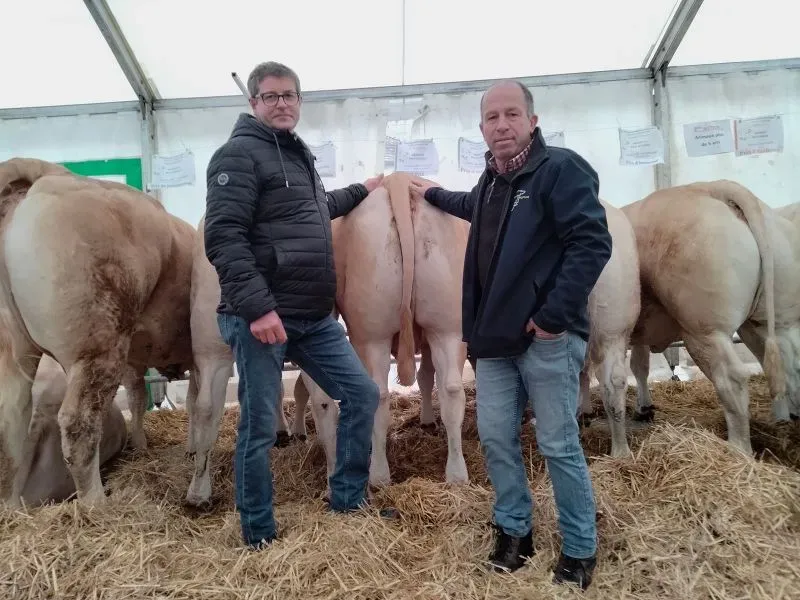 Viande bovine direct producteur chez votre artisan Boucher