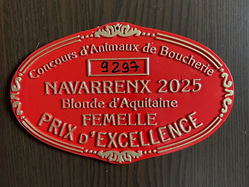 Blonde d'Aquitaine, prix d'excellence 2025 à Navarrenx